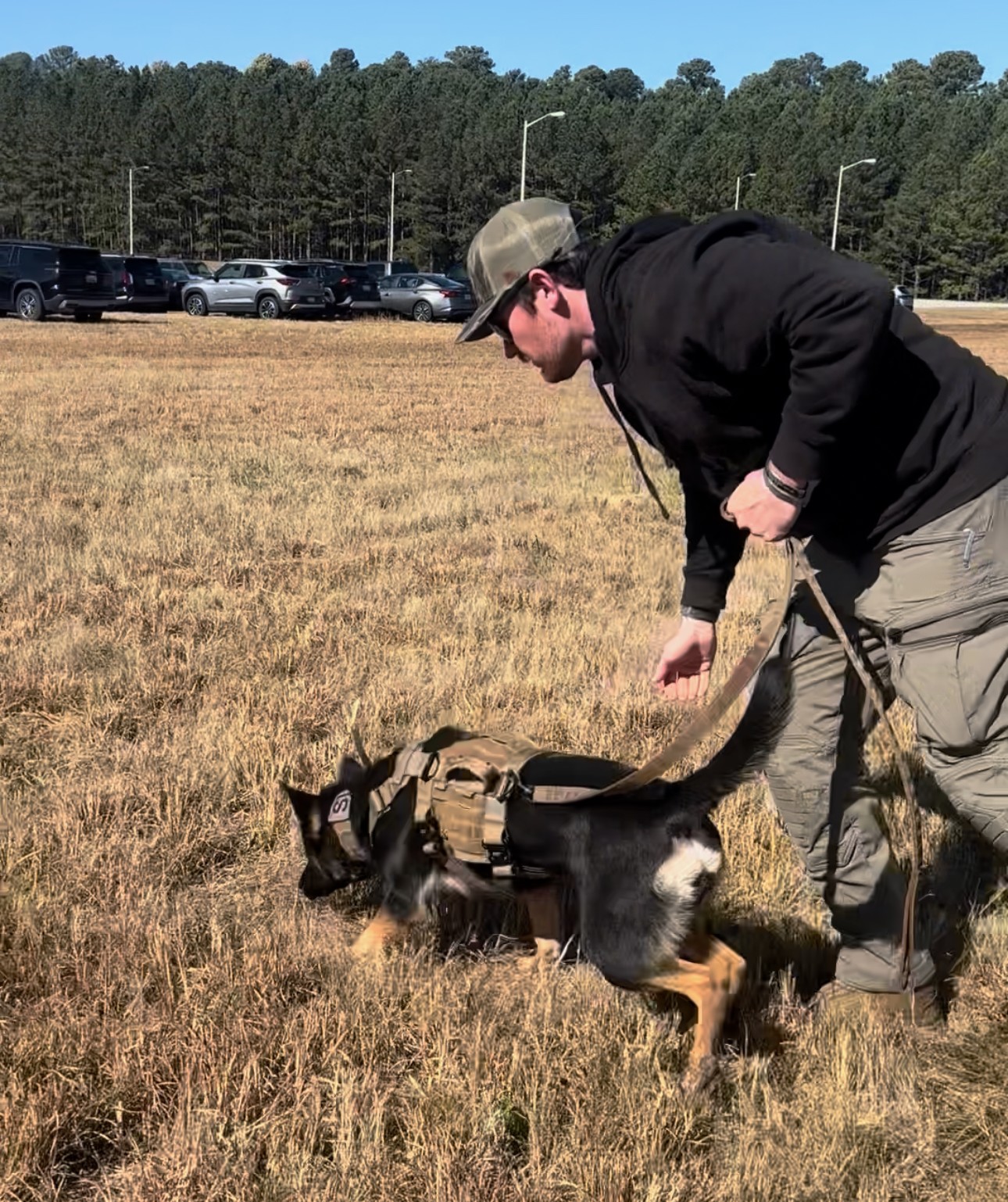 K9 training in field 