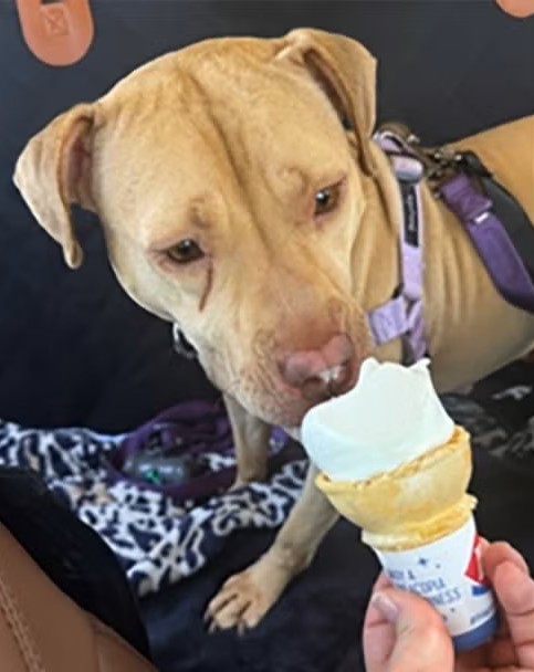 Gemma eating an ice cream cone